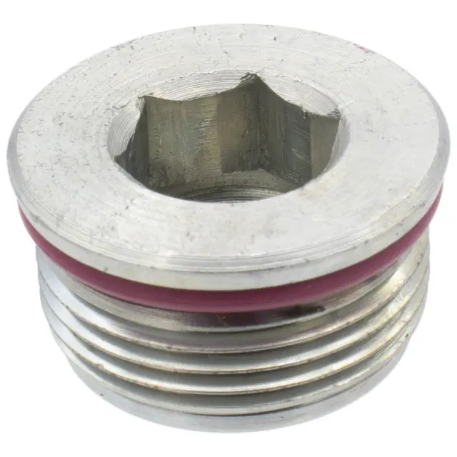 Plug Threaded - Ford (-W718192-S437)