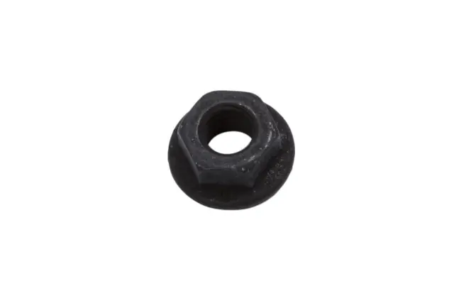F Nut - GM (11548431)