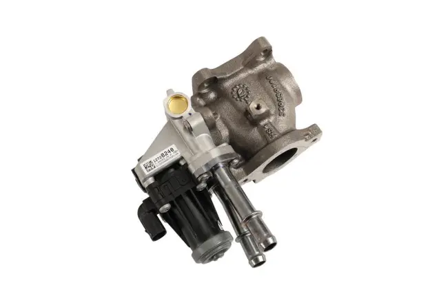 Valve - GM (12746561)