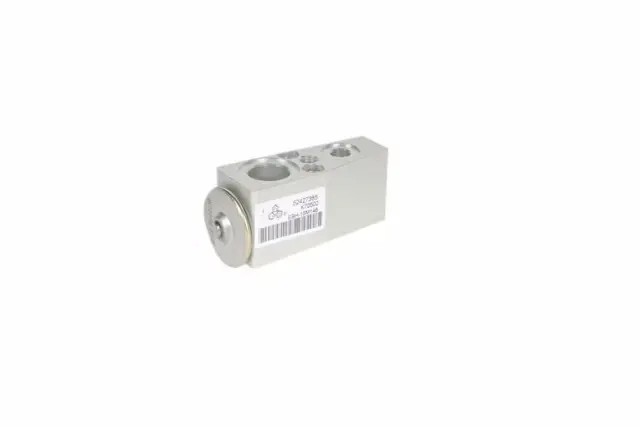 Air Conditioning Thermal Expansion Valve Kit - GM (13313727)