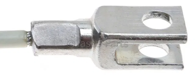 Cable - GM (19336797)