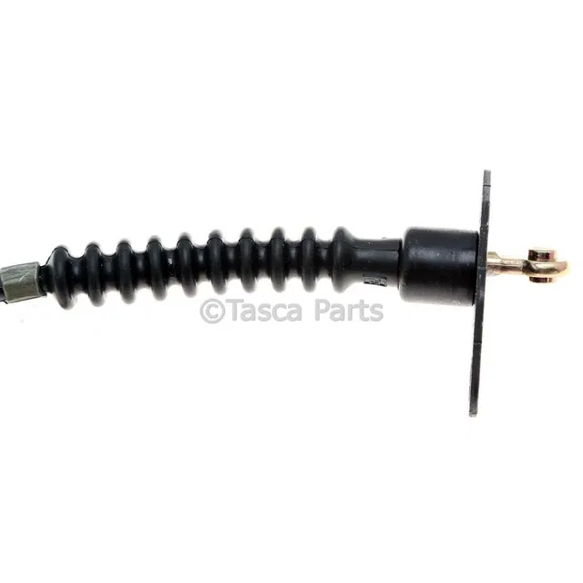 Cable - GM (19338504)
