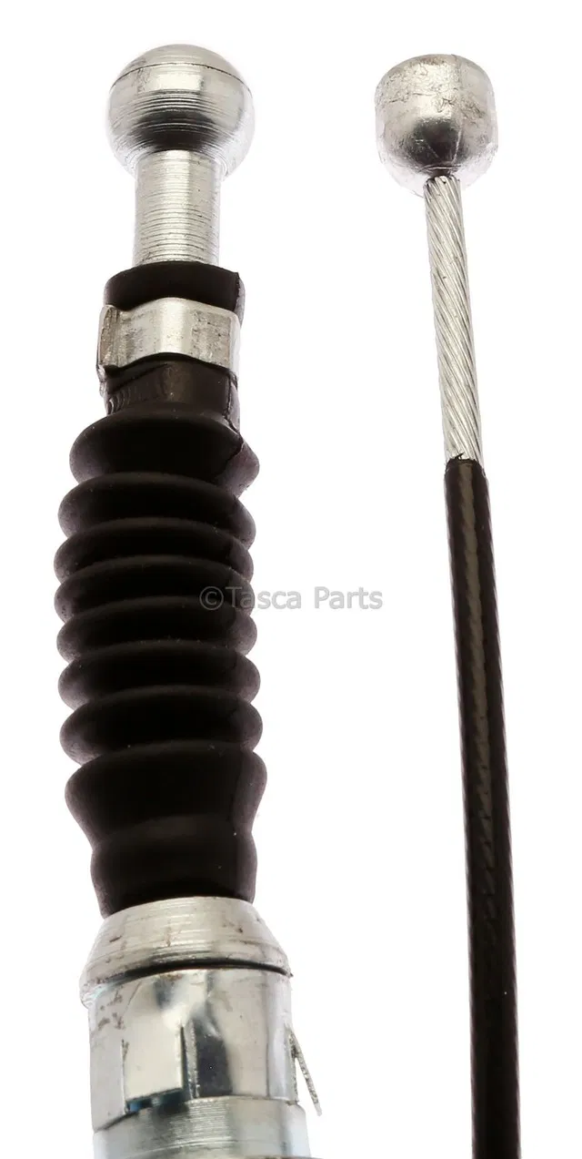 Cable - GM (19391081)