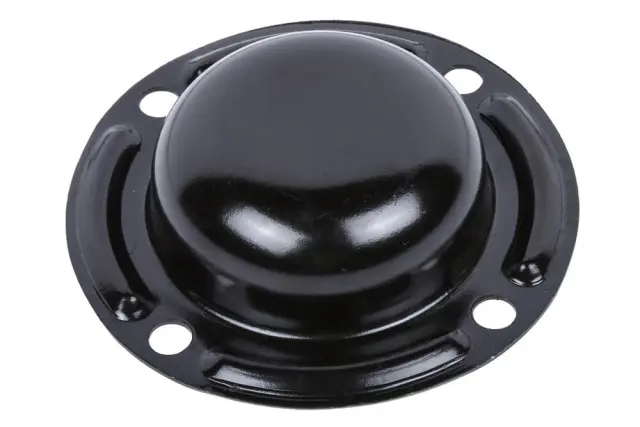 F (S)Cap - GM (19404618)