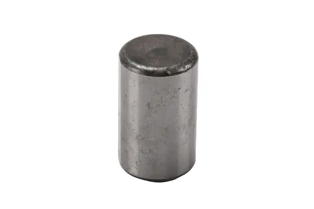 F (S)Pin - GM (19407155)