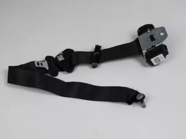 Outer Belt Assembly - Driver's Side (LH) - Mopar (1AN25DX9AA)