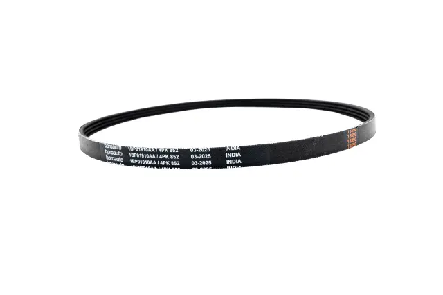 OEM Belt - bproauto (1BP01910AA)