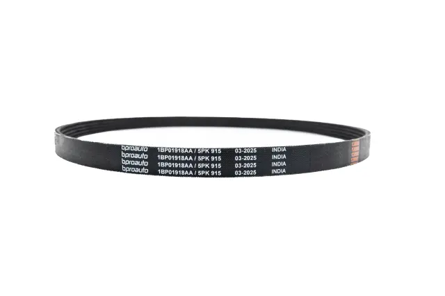 OEM Belt - bproauto (1BP01918AA)