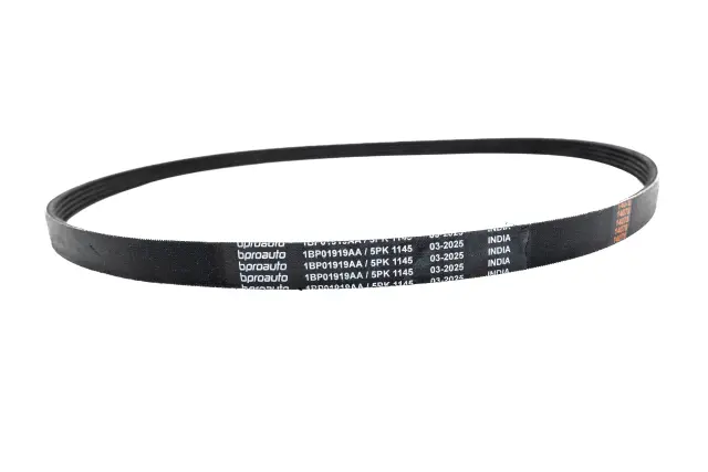 OEM Belt - bproauto (1BP01919AA)
