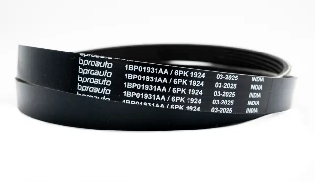 OEM Belt - bproauto (1BP01931AA)
