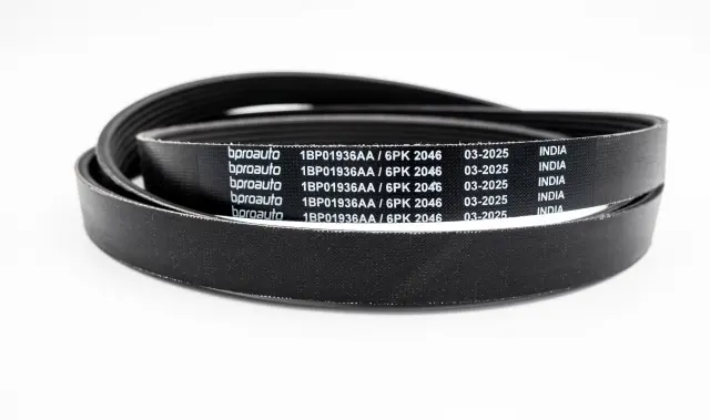 OEM Belt - bproauto (1BP01936AA)