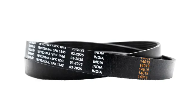 OEM Belt - bproauto (1BP02218AA)