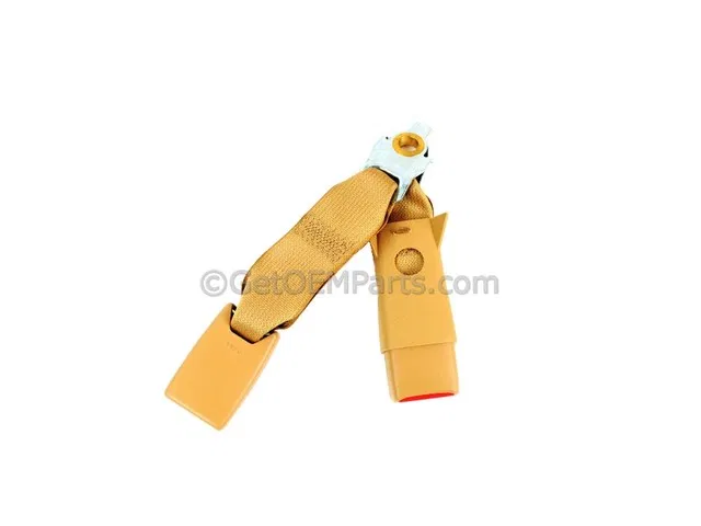 Buckle Assembly-S/Belt Buckle Assembly - Mopar (1HZ141T5AE)