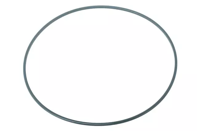 Seal - Driver's Side (LH) - GM (23347669)