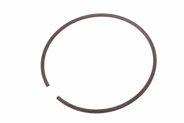 F (S)Ring - GM (24042089)