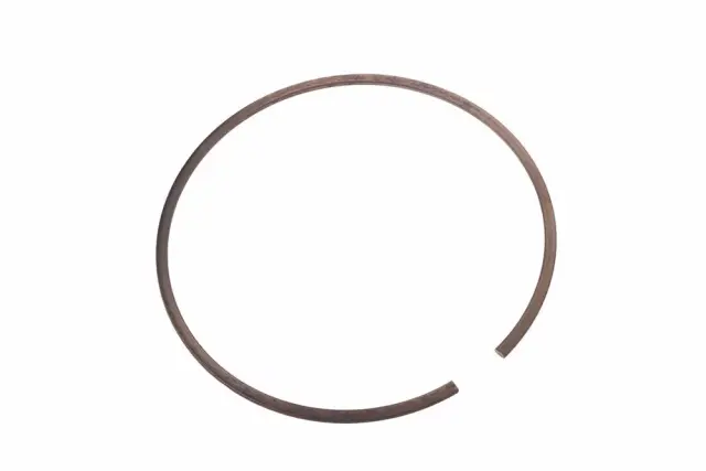 F (S)Ring - GM (24042090)