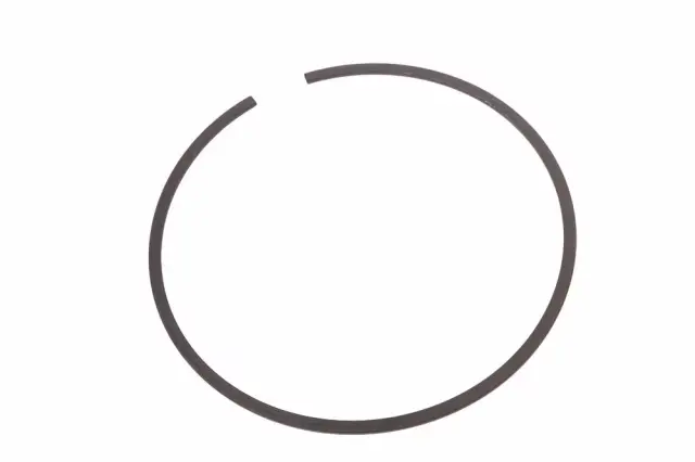 F (S)Ring - GM (24042091)
