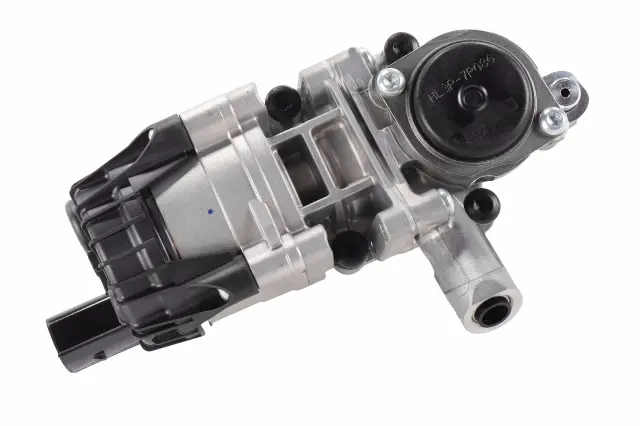 Pump - GM (24050128)