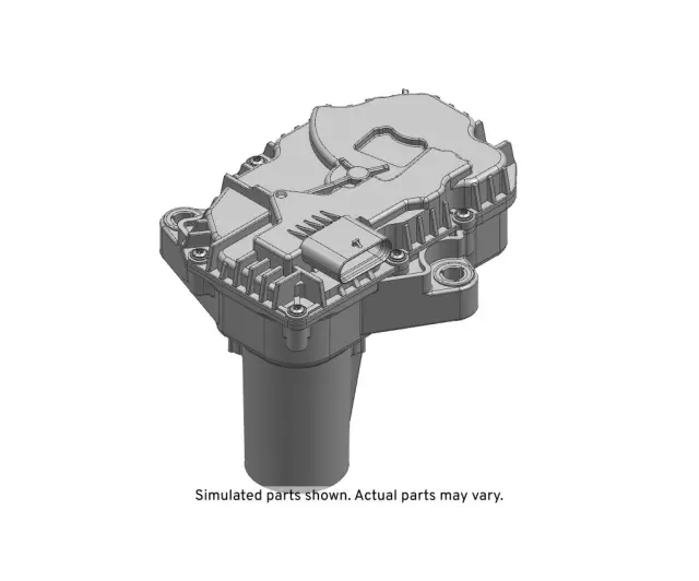 Motor - GM (24061402)