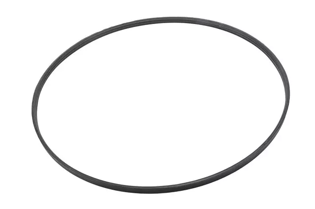 Drive Motor Stator Housing Front Seal - GM (24267448)