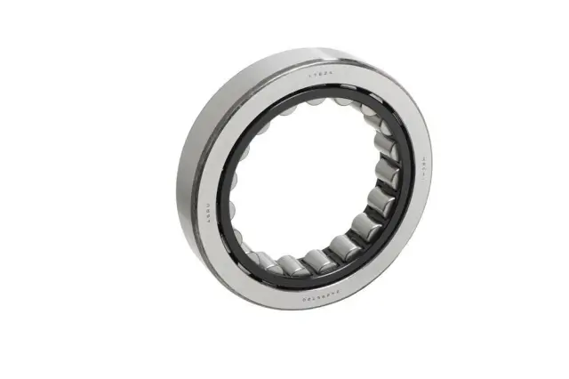 F (S)Bearing - GM (24295720)