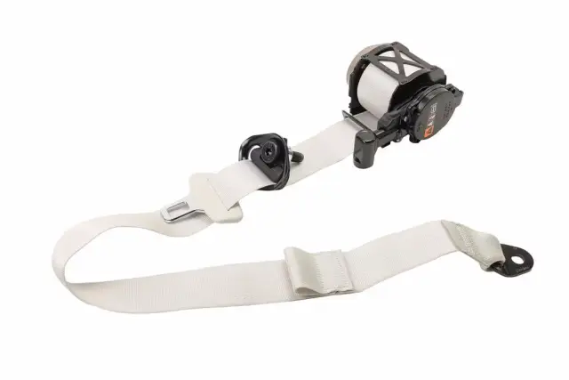 Outer Belt Assembly - GM (26546028)