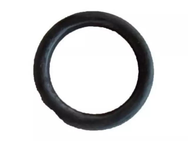 Seal - Ford (384975S94)