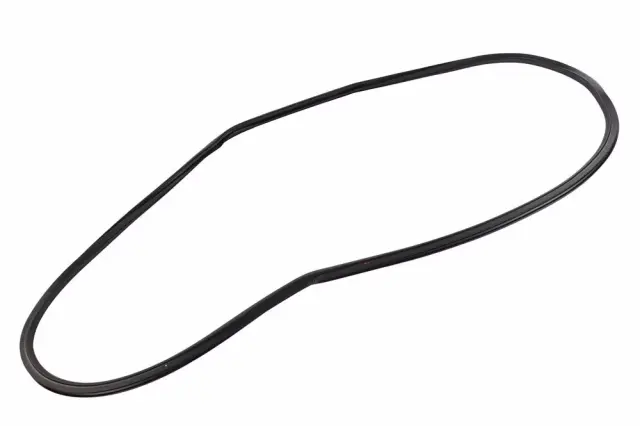 Weather-Strip On Body - GM (42708690)