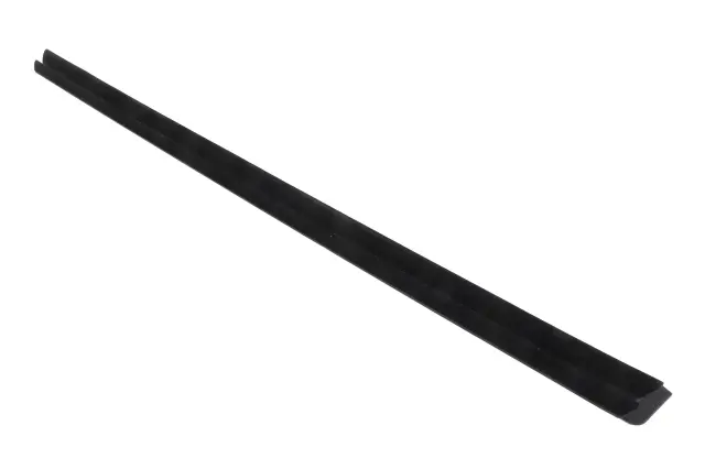 Belt Weather-Strip - GM (42740493)