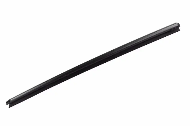 Belt Weather-Strip - GM (42876963)
