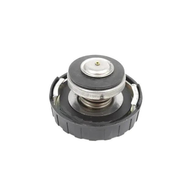 Cap - Fiat (4596198)