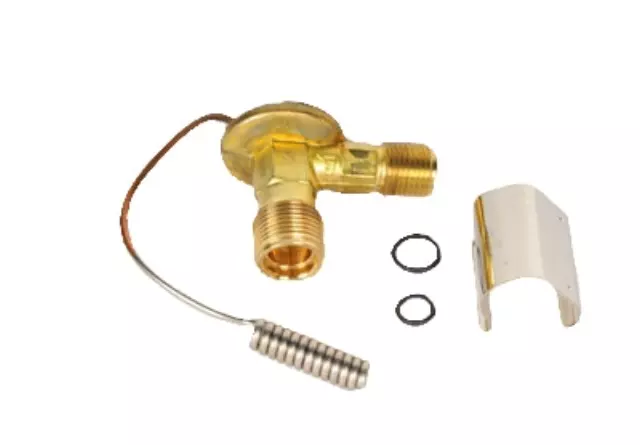 Air Conditioning Thermal Expansion Valve - GM (52484737)