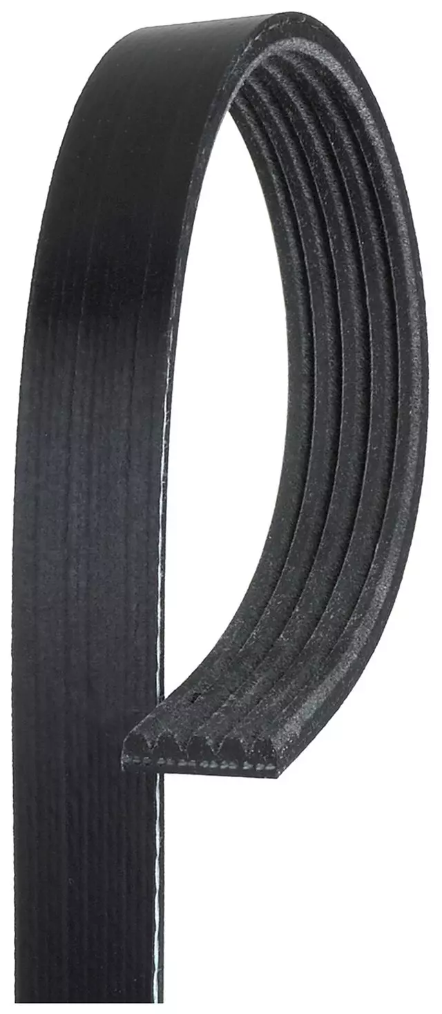Standard V-Ribbed Serpentine Belt - ACDelco (5K375)