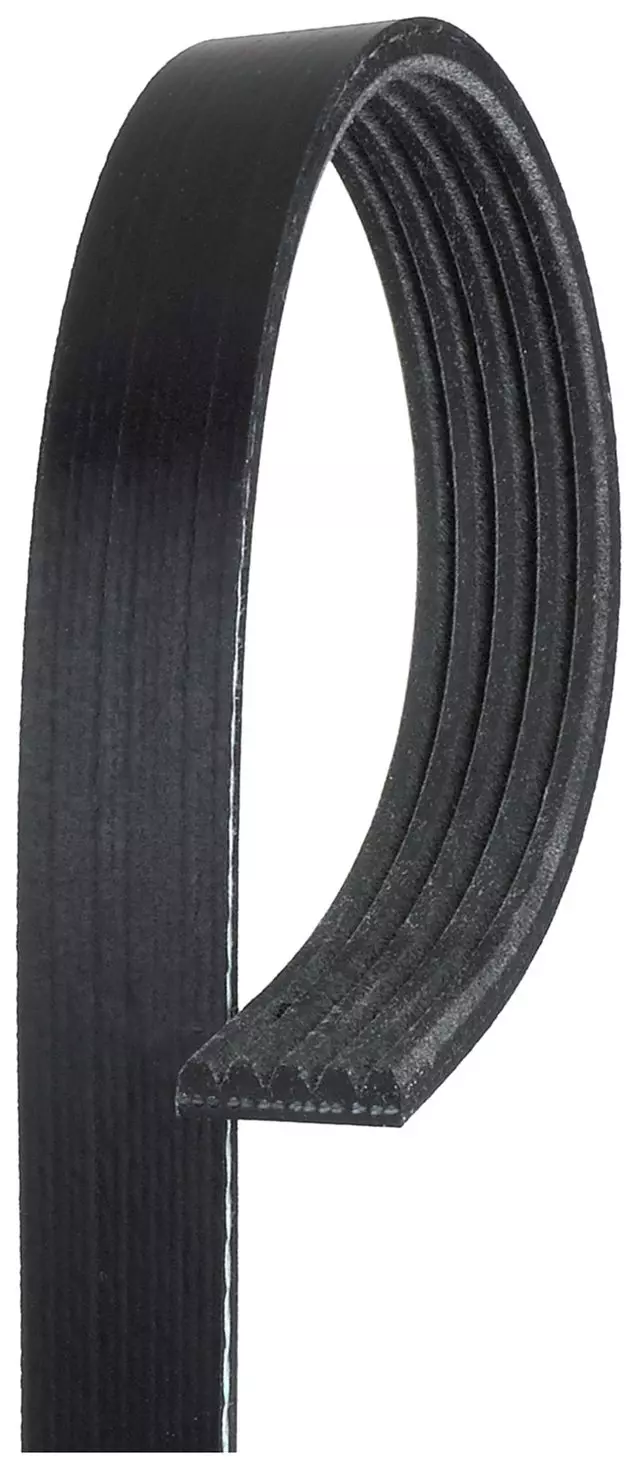 Standard V-Ribbed Serpentine Belt - ACDelco (5K685)