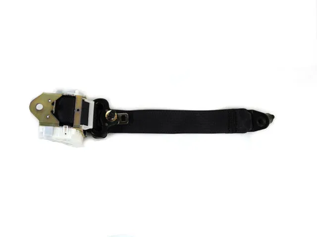 Outer Belt Assembly - Passenger Side (RH) - Fiat (5NE43JXWAA)