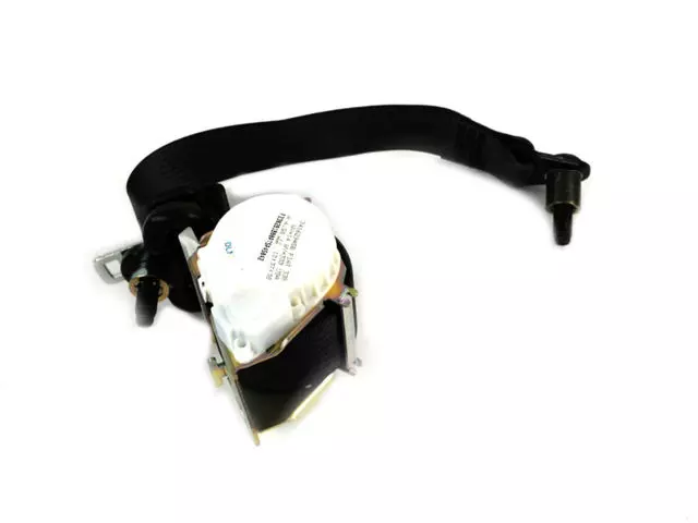 Outer Belt Assembly - Passenger Side (RH) - Fiat (5NE43JXWAA) - view 4