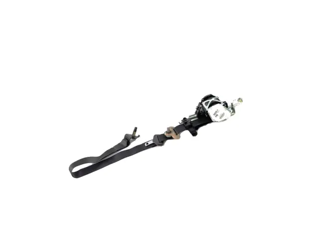 Outer Belt Assembly - Passenger Side (RH) - Mopar (5RL811X7AC) - view 5