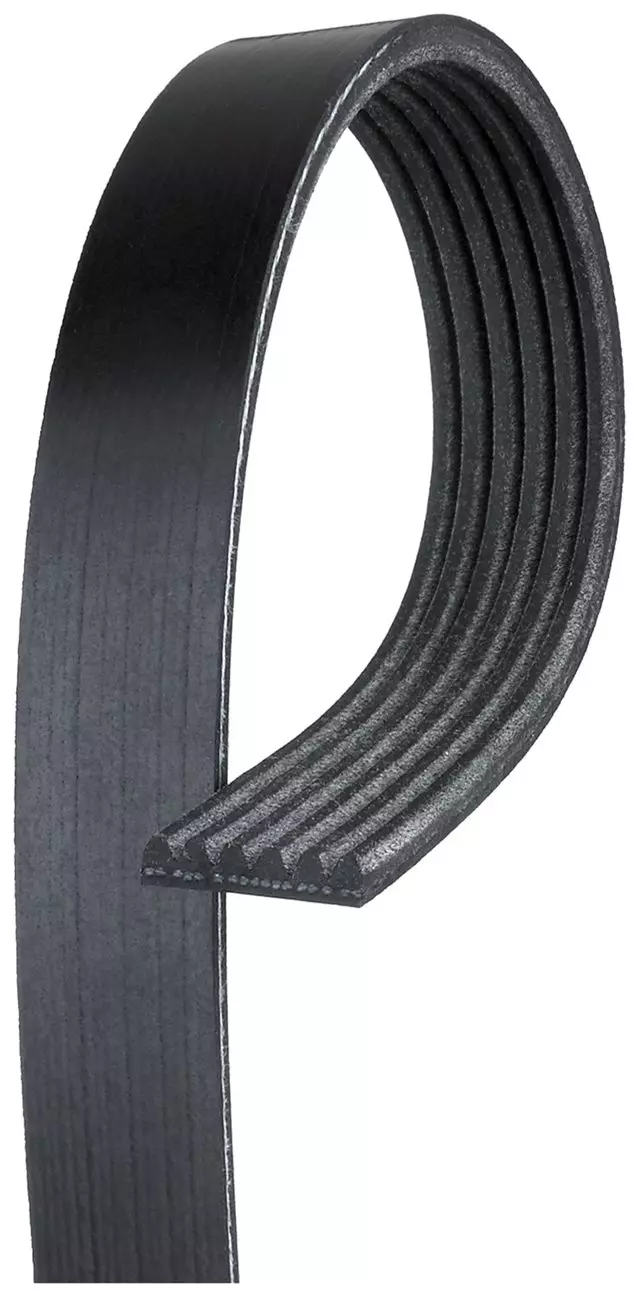 Standard V-Ribbed Serpentine Belt - ACDelco (6K725)