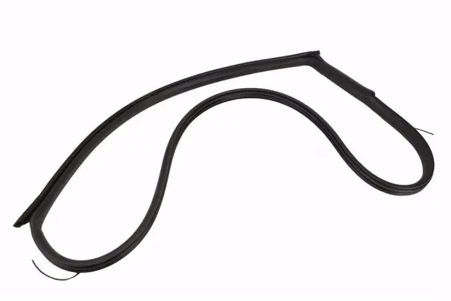Weather-Strip On Body - Driver's Side (LH) - GM (84160281)