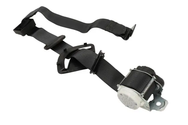 Outer Belt Assembly - Passenger Side (RH) - GM (84512920)