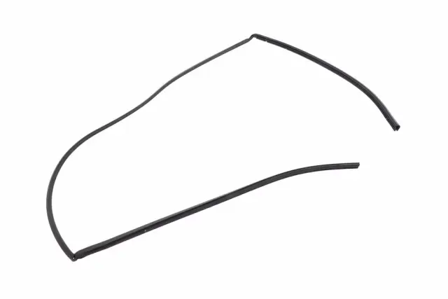 Seal Strip - GM (84810476)