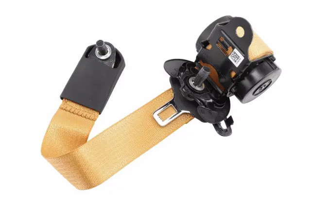 Outer Belt Assembly - GM (84815173)
