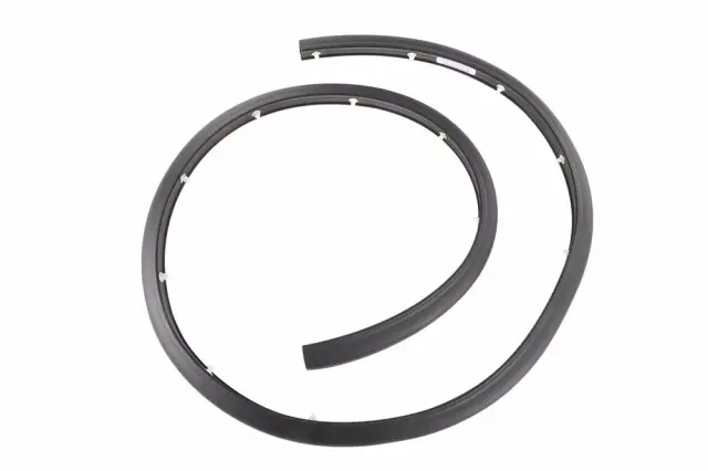 Weather-Strip On Body - GM (84848086)