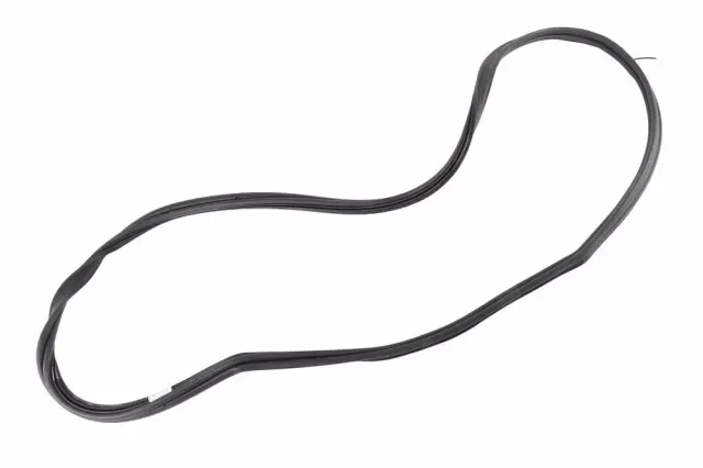 Weather-Strip On Body - GM (84952581)