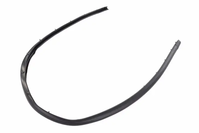 Lower Weather-Strip - GM (85632354)