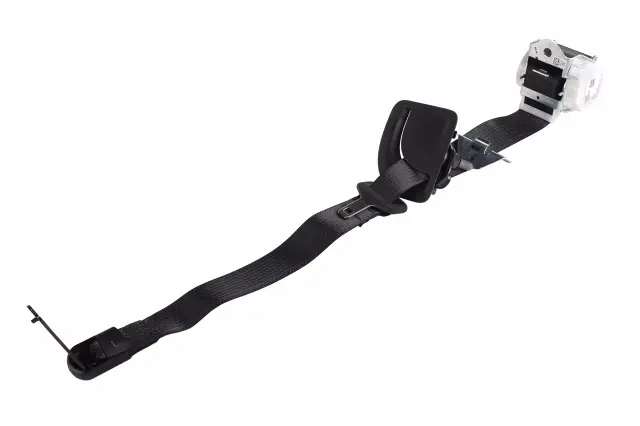 Outer Belt Assembly - GM (85642062)