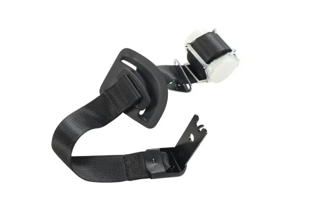 Outer Belt Assembly - GM (85642064)