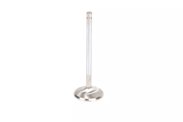 VALVE - GM (88963128)