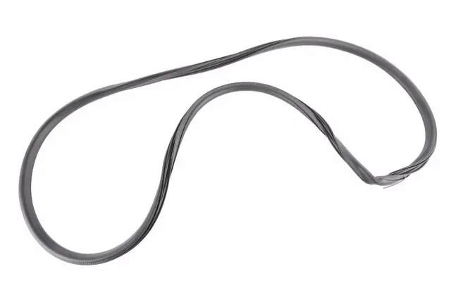 Weather-Strip On Body - Driver's Side (LH) - GM (94550168)