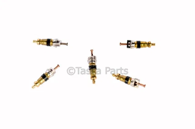 Air Conditioning System Valve Core - GM (96961784)